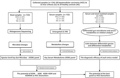 Integrated microbiome and metabolome analysis reveals the interaction between intestinal flora and serum metabolites as potential biomarkers in hepatocellular carcinoma patients